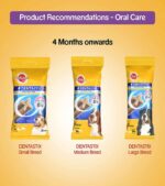 Pedigree Jumbone Adult Dog Treats, Chicken and Rice, 200 g (2 Sticks) - Image 5