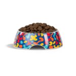 Colorful Ceramic Bowl Large | Different designs