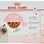Royal Canin Wet Kitten Gravy in Salsa, 85gm