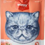 WANPY Tasty Meat Paste Cat Treats with Salmon Chicken & Carrot Flavor, 90g