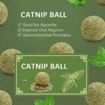 Catnip Ball Toy Cat Mint Ball Natural Catnip Teeth Cleaning Playing Chew Claw Toy Set of 3 - Image 2