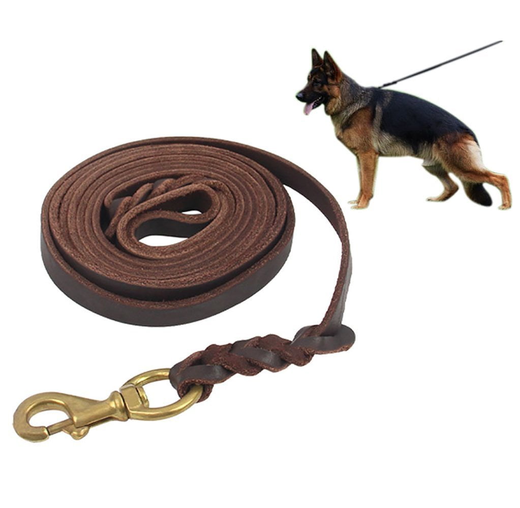 dog leash brown
