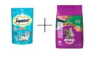 Whiskas Dry 3 Kg + Temptations ( 6 Pcs) - Image 2